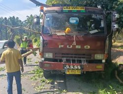 Pohon Tumbang Timpa Truk Trailer di Jalinsum Matapao, Arus Lalu Lintas Sempat Melambat