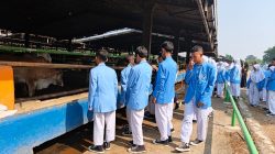 Dharma Jaya dan SMPN 51 Jakarta Tanamkan Kesadaran Ketahanan Pangan Melalui Pembelajaran Lapangan
