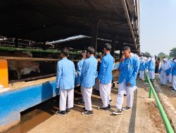 Dharma Jaya dan SMPN 51 Jakarta Tanamkan Kesadaran Ketahanan Pangan Melalui Pembelajaran Lapangan
