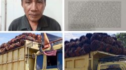 Antrean Truk TBS Berhari Hari di PKS PT HSJ Dikeluhkan, Masyarakat Minta Aparat Cegah Potensi Konflik