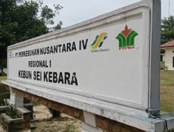 PTPN IV Regional I Kebun Sei Kebara Beri Klarifikasi, Karyawan Bebas Pilih Tempat Pembuatan Kacamata