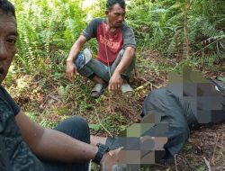 SUDAH JADI TERSANGKA, TAPI BELUM DITAHAN! KASUS PENGANIAYAAN NAWAWI DI LABUHANBATU DISOROT